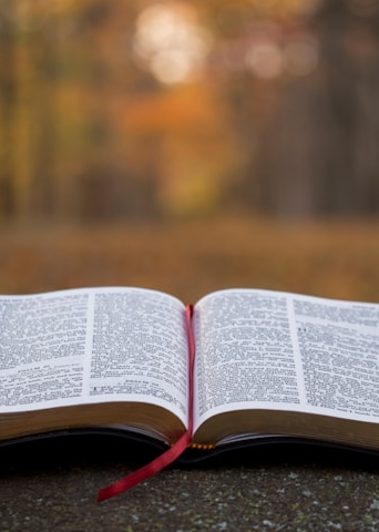 Santa Biblia